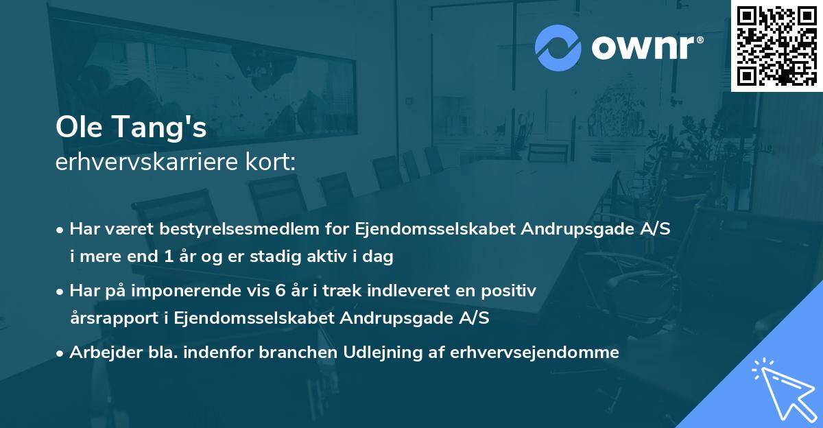 Ole Tang's erhvervskarriere kort