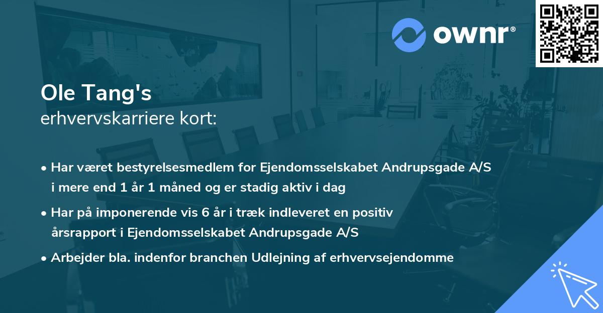 Ole Tang's erhvervskarriere kort