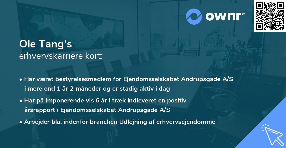 Ole Tang's erhvervskarriere kort