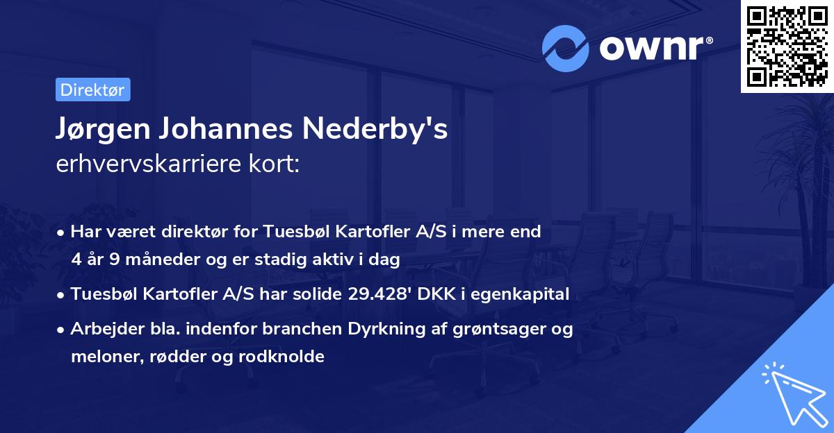 Jørgen Johannes Nederby's erhvervskarriere kort