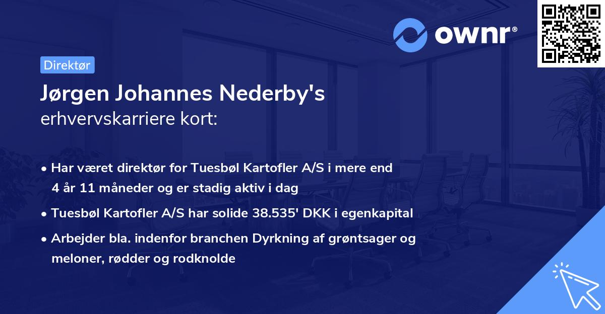 Jørgen Johannes Nederby's erhvervskarriere kort