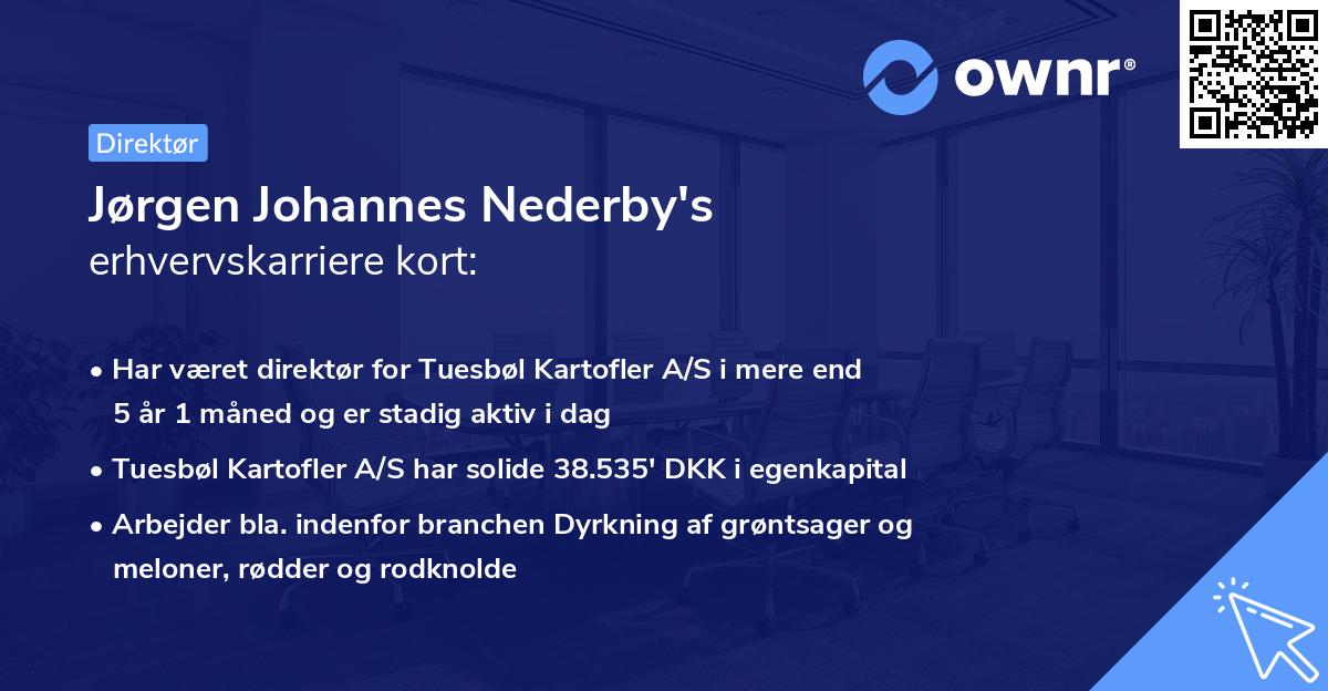 Jørgen Johannes Nederby's erhvervskarriere kort