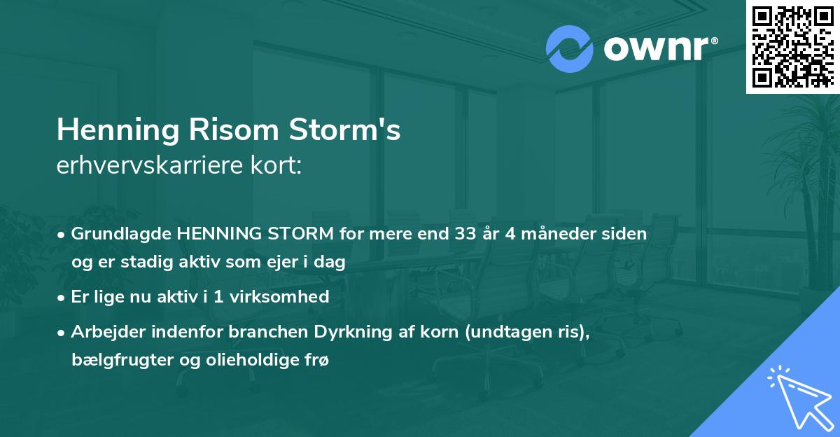 Henning Risom Storm's erhvervskarriere kort
