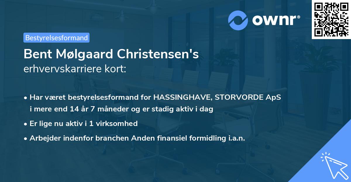 Bent Mølgaard Christensen's erhvervskarriere kort