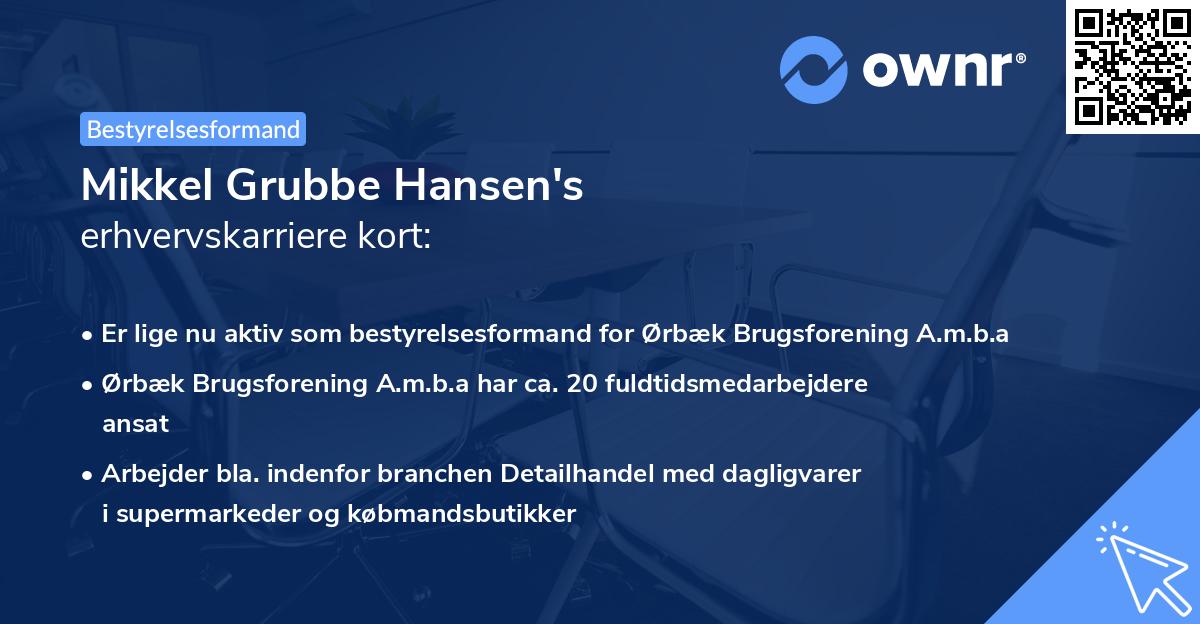 Mikkel Grubbe Hansen's erhvervskarriere kort