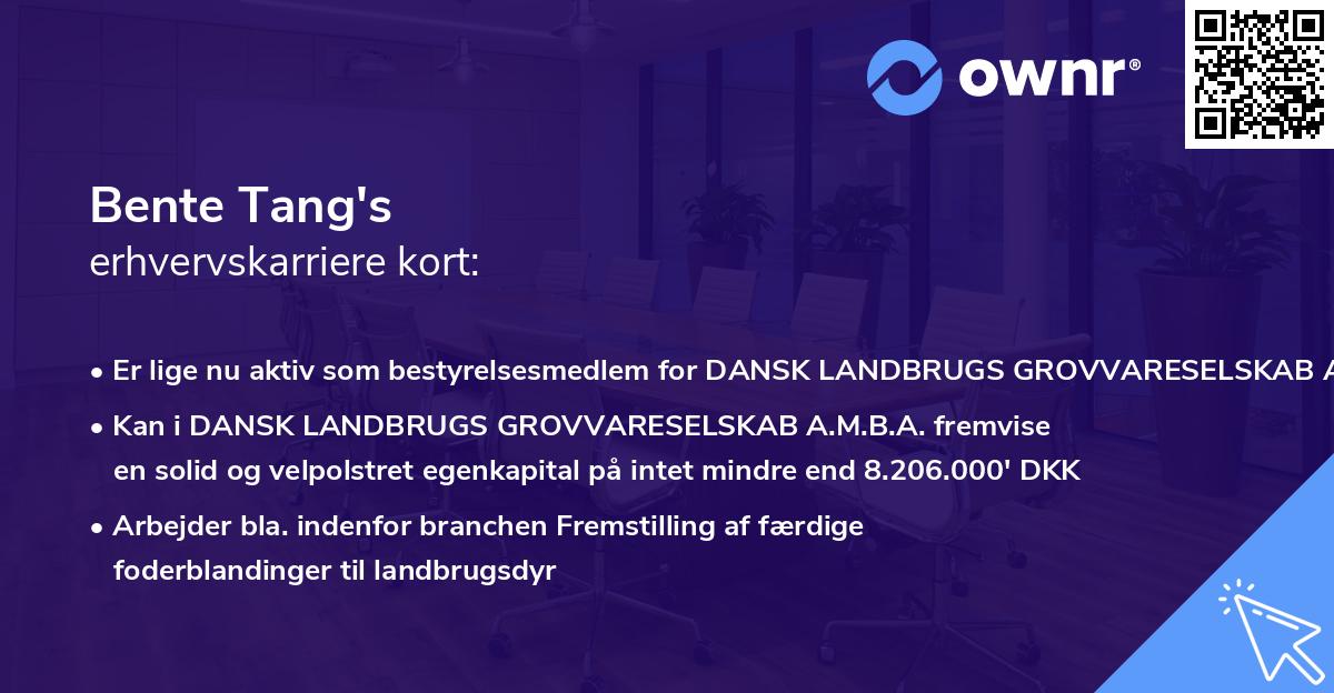 Bente Tang's erhvervskarriere kort