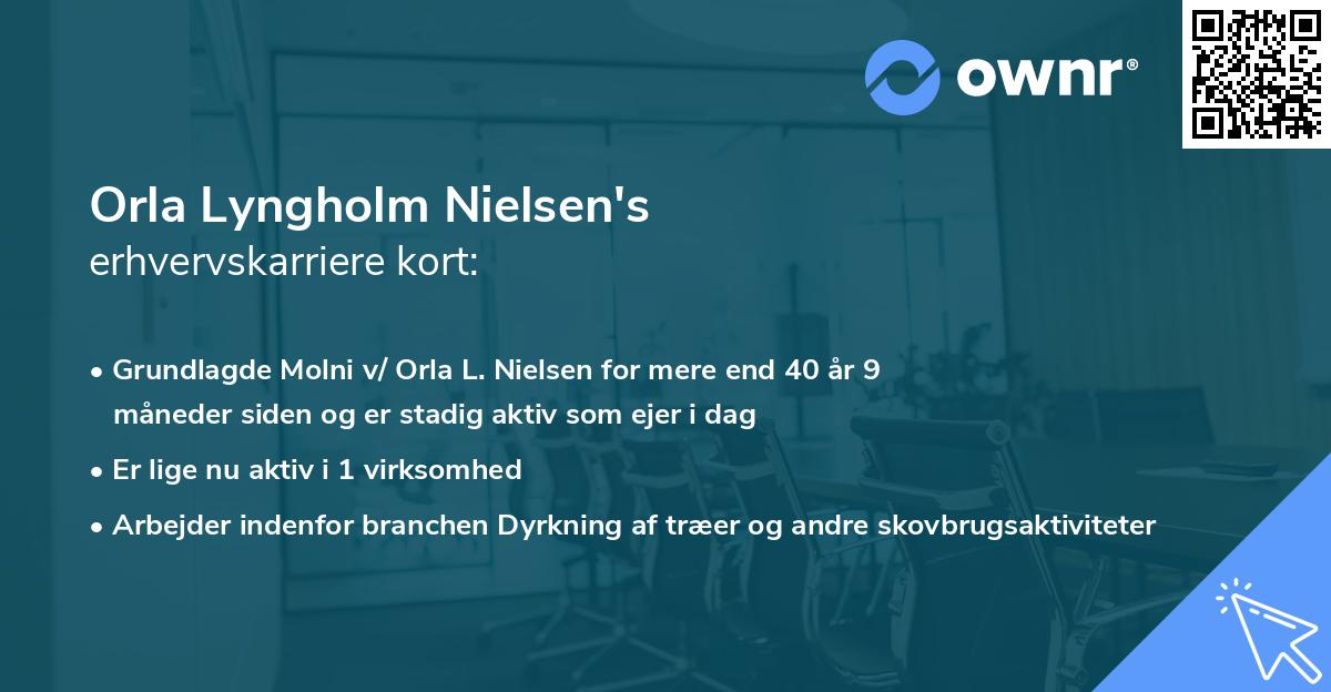 Orla Lyngholm Nielsen's erhvervskarriere kort