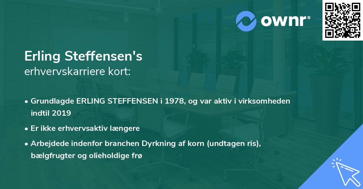 Erling Steffensen's erhvervskarriere kort