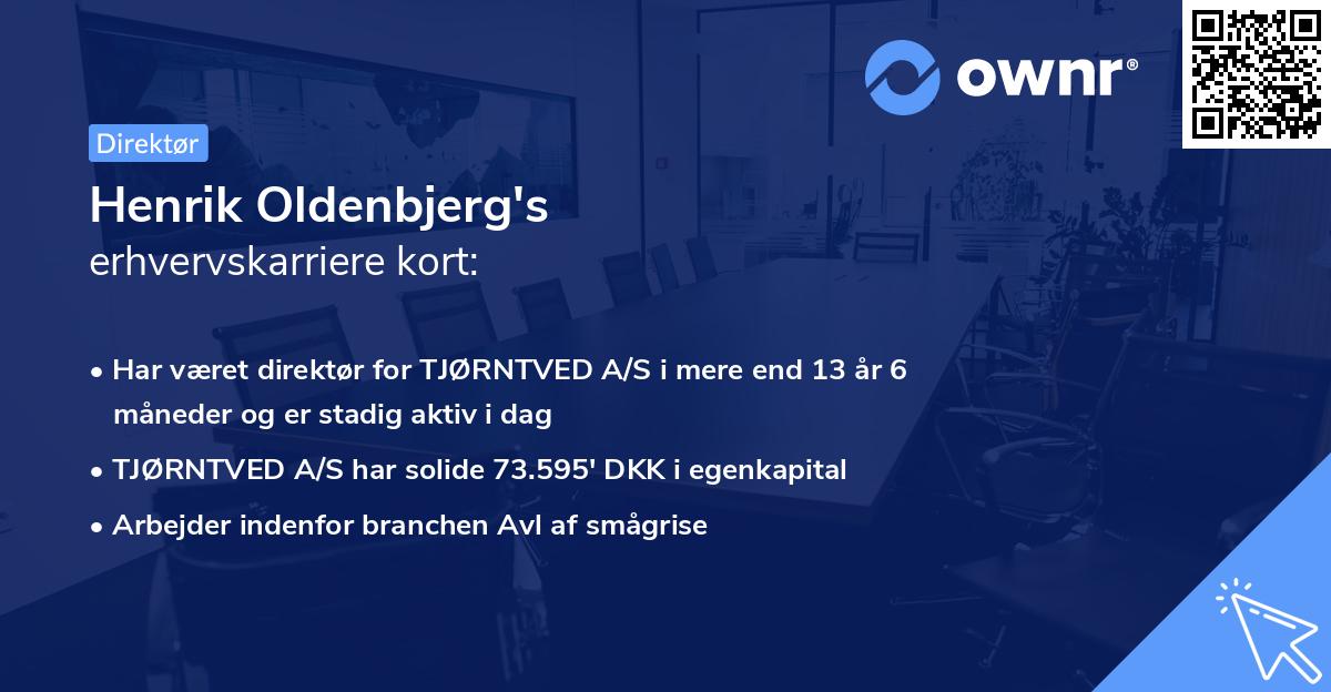 Henrik Oldenbjerg's erhvervskarriere kort