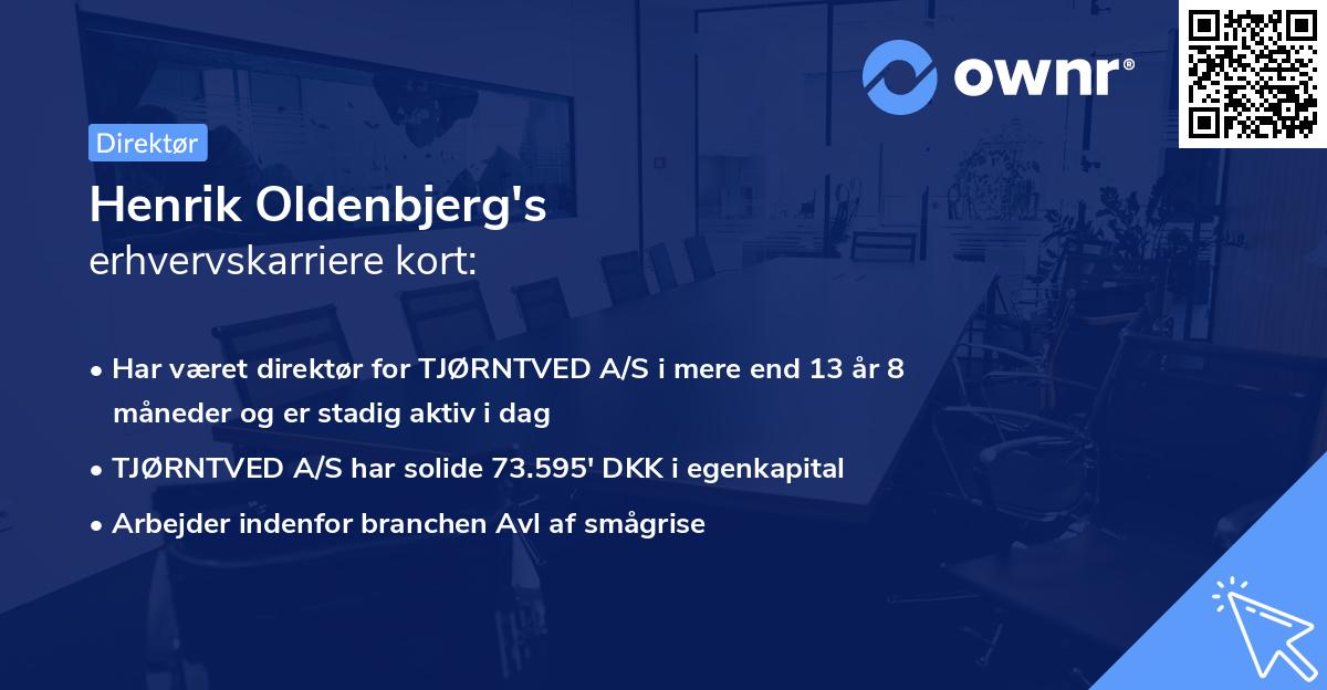 Henrik Oldenbjerg's erhvervskarriere kort