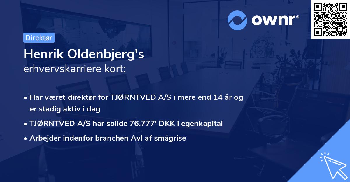 Henrik Oldenbjerg's erhvervskarriere kort