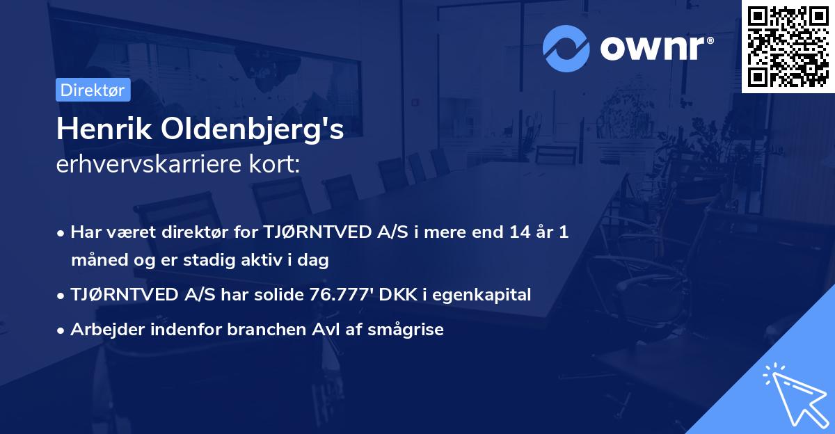 Henrik Oldenbjerg's erhvervskarriere kort
