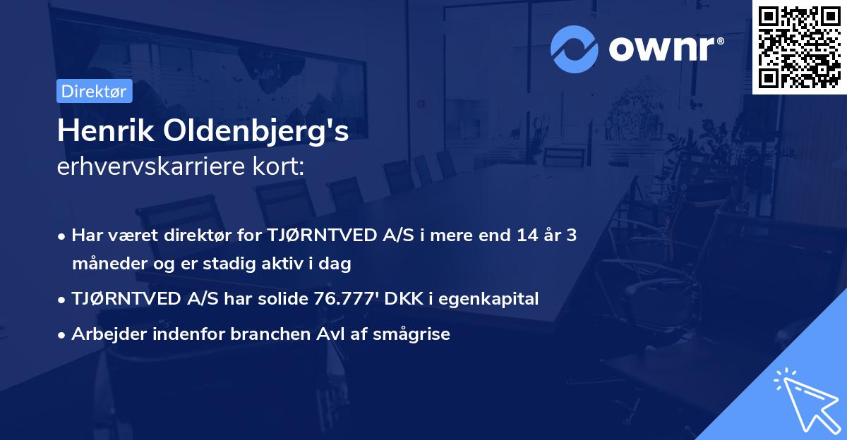 Henrik Oldenbjerg's erhvervskarriere kort