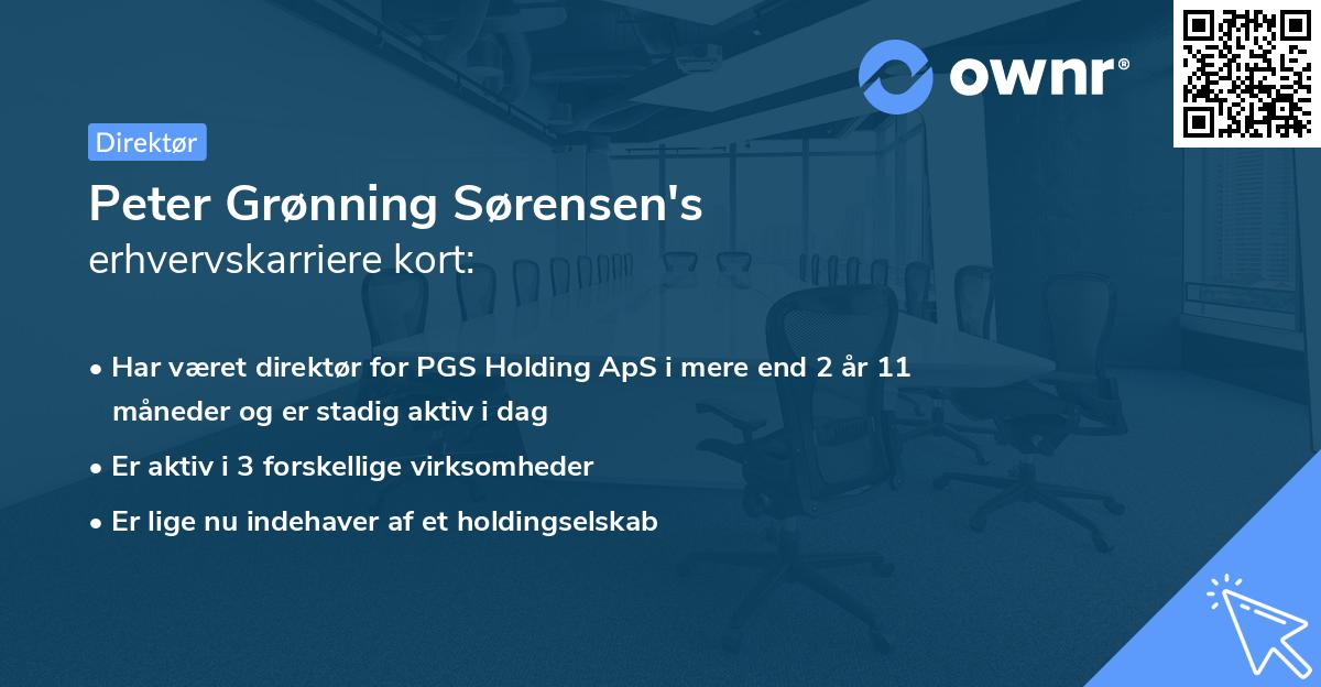 Peter Grønning Sørensen's erhvervskarriere kort