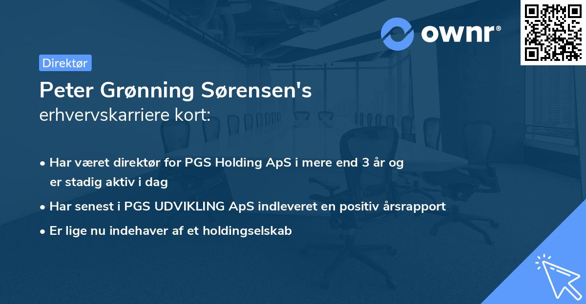 Peter Grønning Sørensen's erhvervskarriere kort