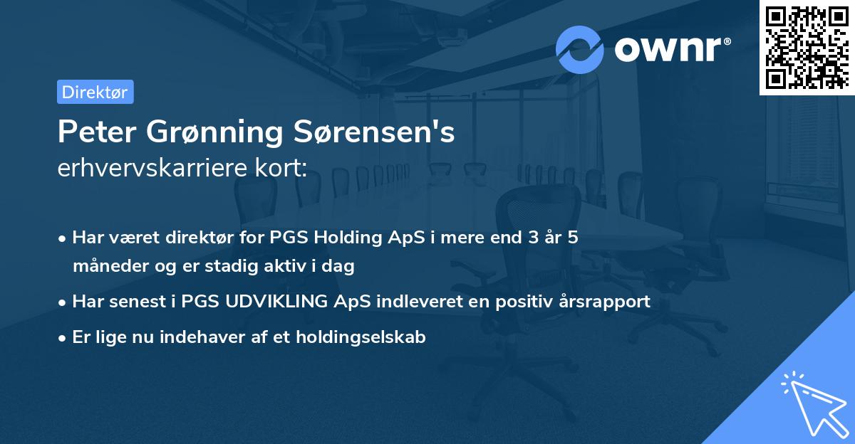 Peter Grønning Sørensen's erhvervskarriere kort