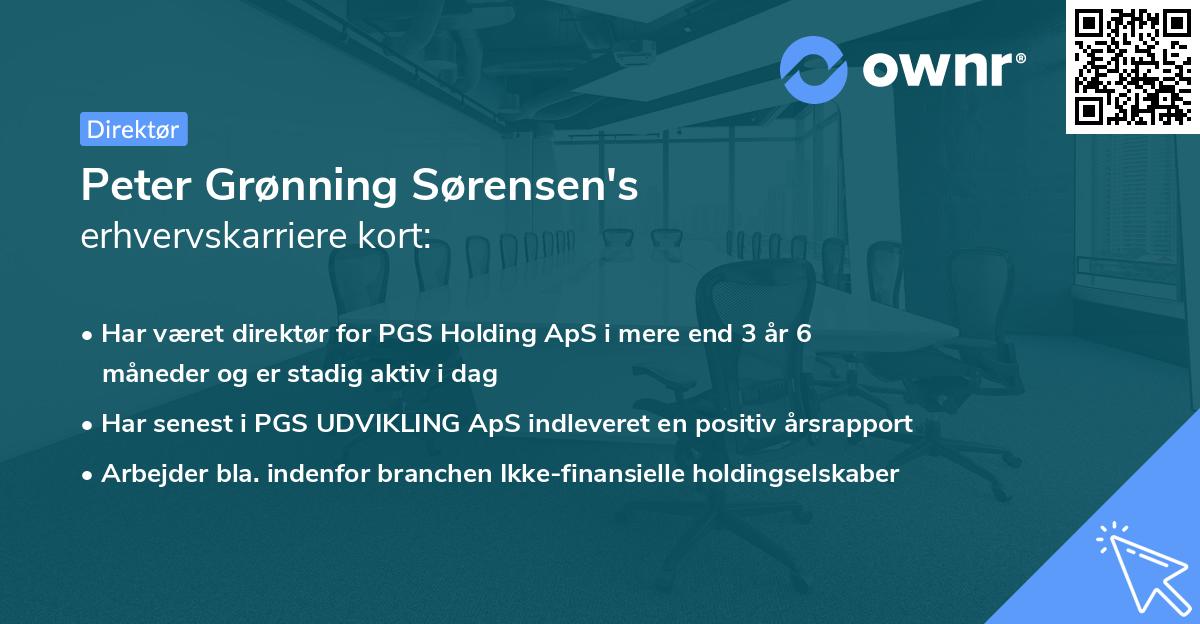 Peter Grønning Sørensen's erhvervskarriere kort