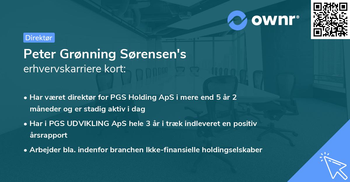 Peter Grønning Sørensen's erhvervskarriere kort