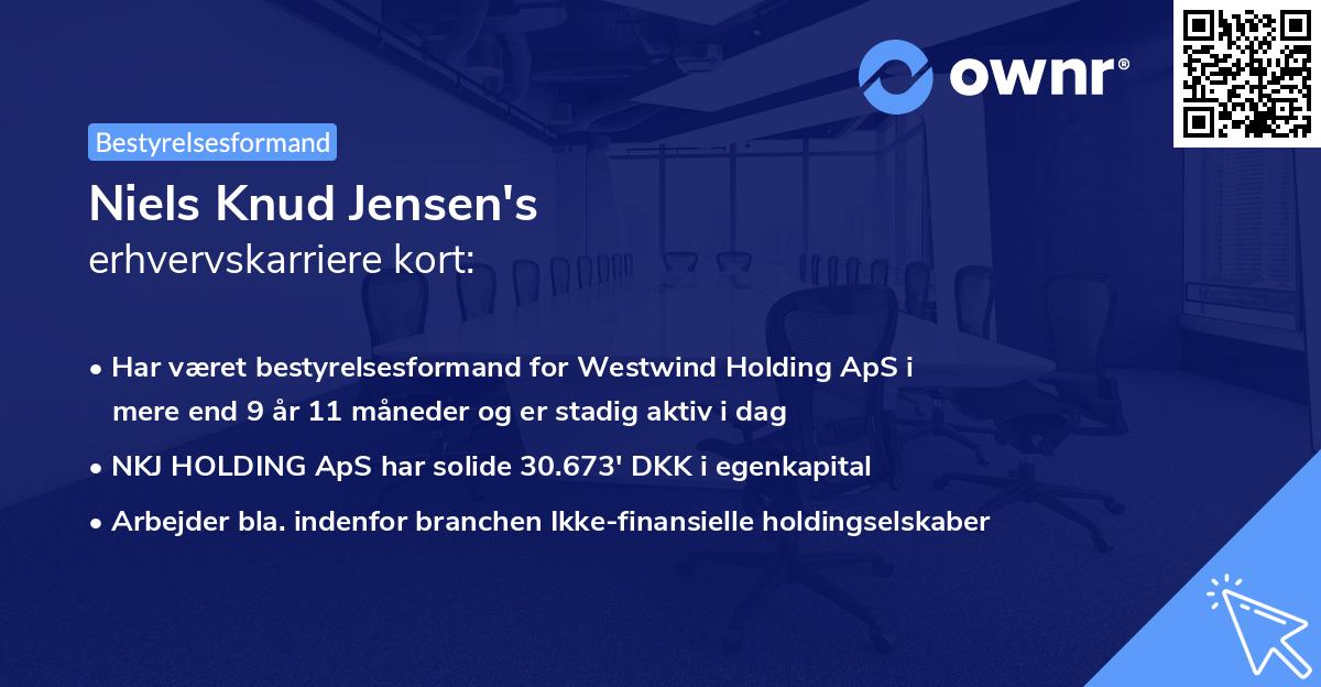 Niels Knud Jensen's erhvervskarriere kort