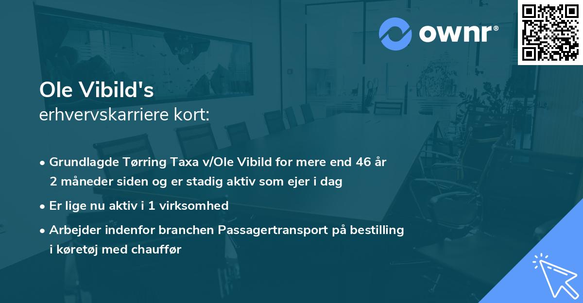 Ole Vibild's erhvervskarriere kort