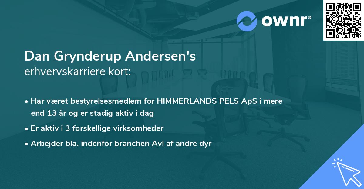 Dan Grynderup Andersen's erhvervskarriere kort