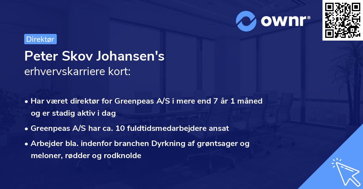Peter Skov Johansen's erhvervskarriere kort