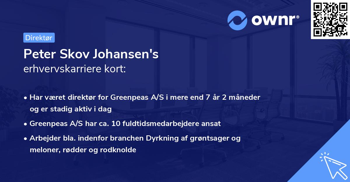 Peter Skov Johansen's erhvervskarriere kort