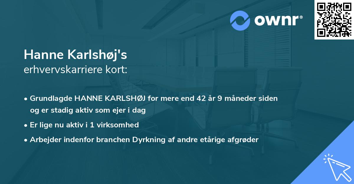 Hanne Karlshøj's erhvervskarriere kort