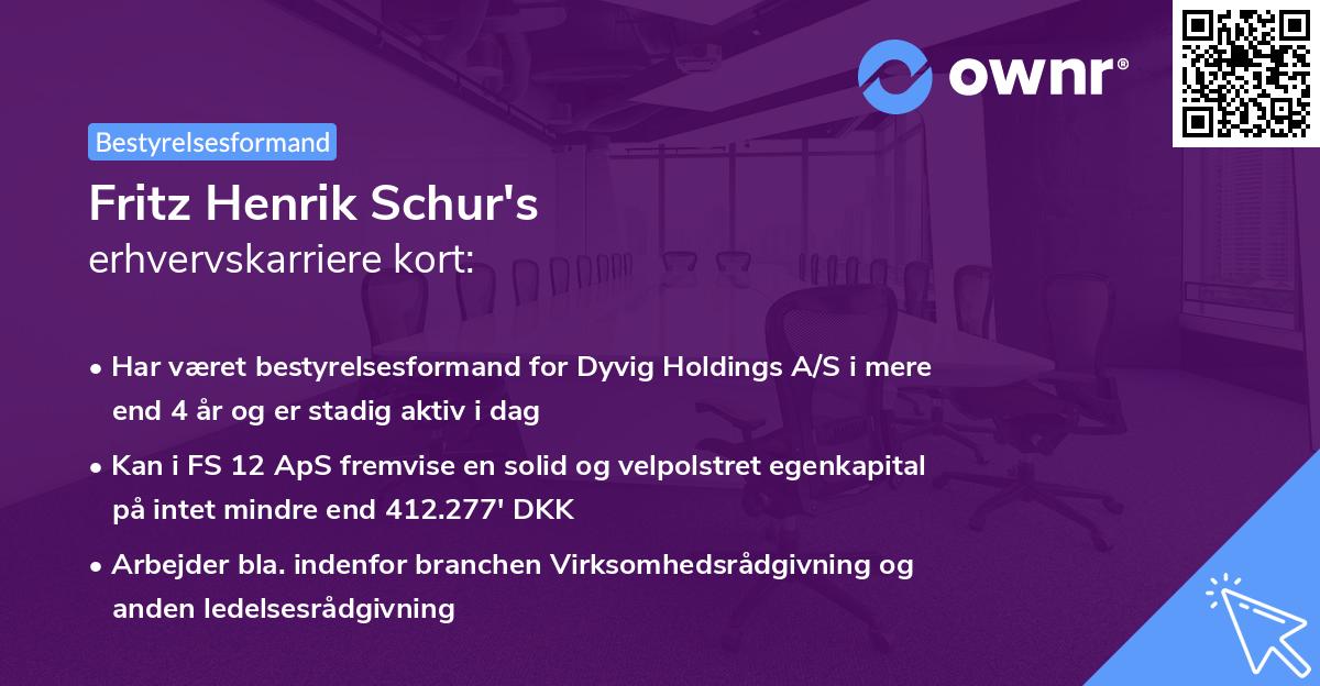Fritz Henrik Schur's erhvervskarriere kort
