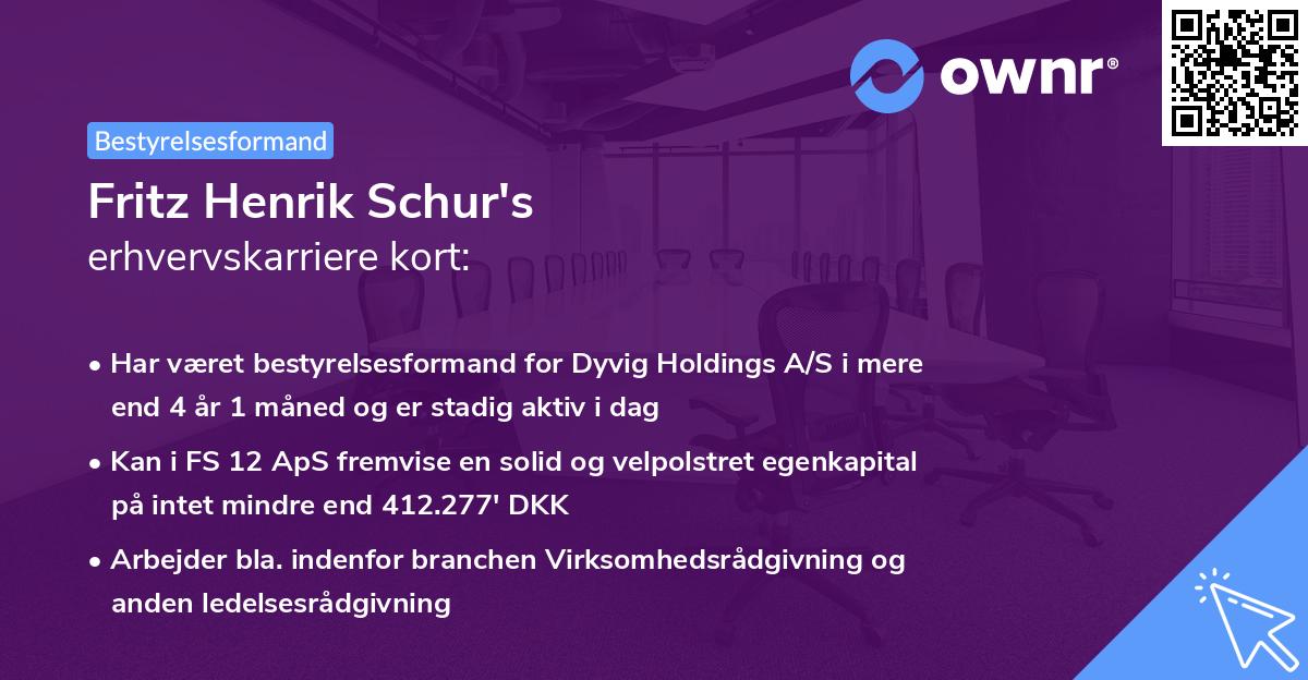 Fritz Henrik Schur's erhvervskarriere kort