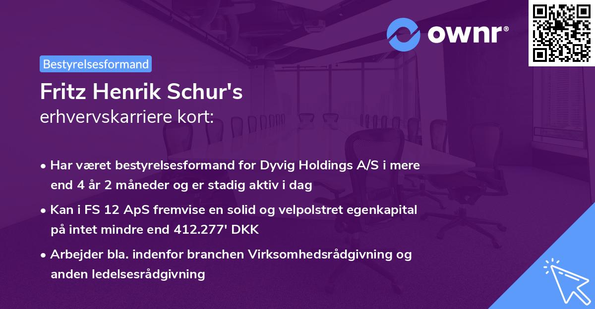 Fritz Henrik Schur's erhvervskarriere kort