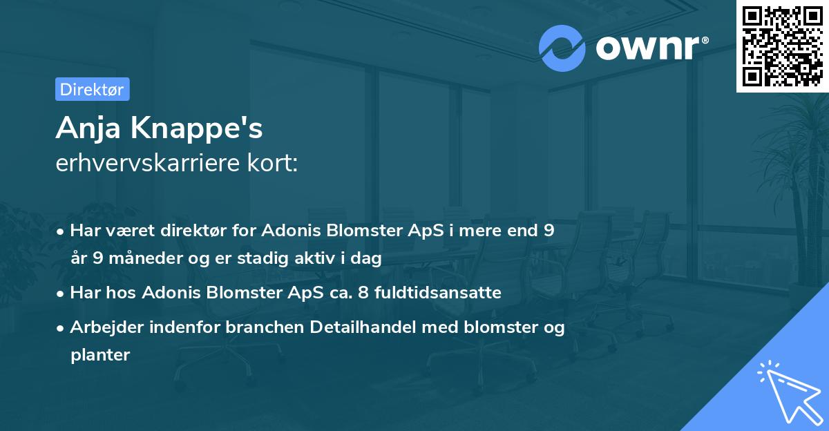 Anja Knappe's erhvervskarriere kort