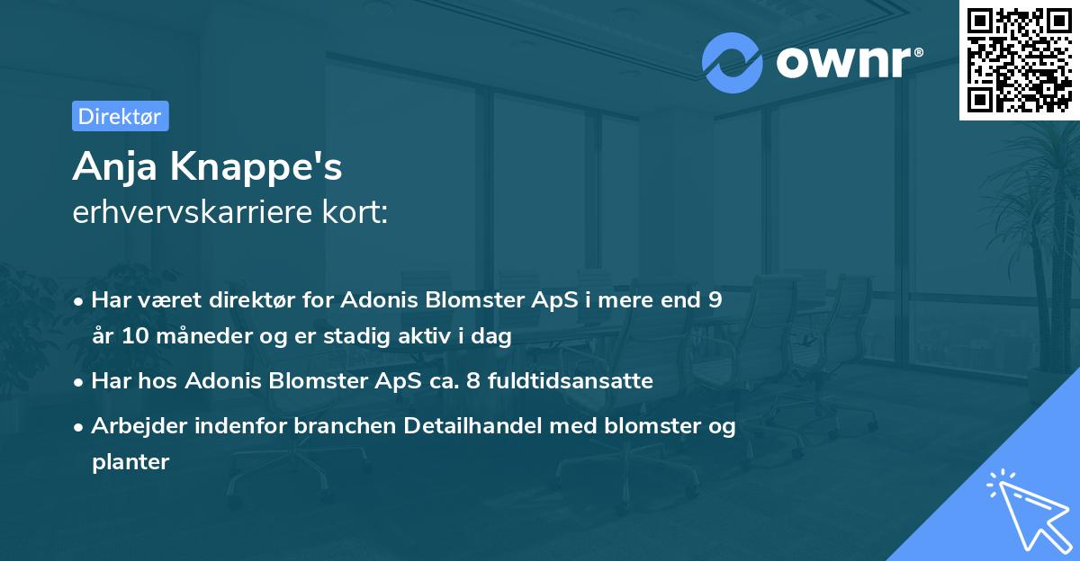 Anja Knappe's erhvervskarriere kort