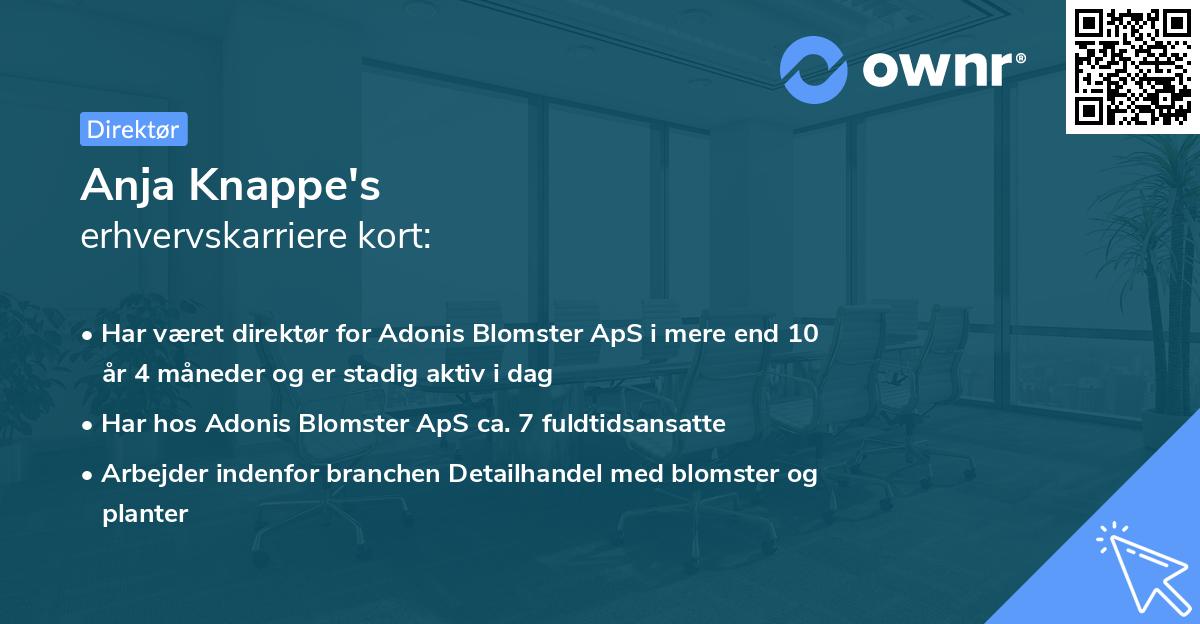 Anja Knappe's erhvervskarriere kort