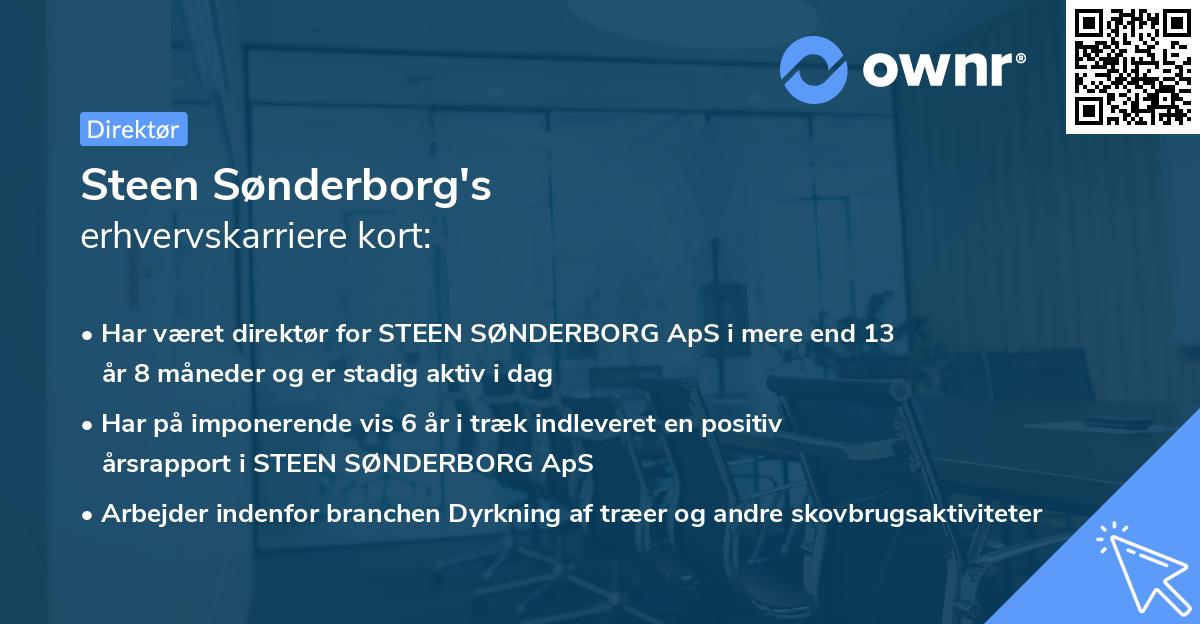 Steen Sønderborg's erhvervskarriere kort