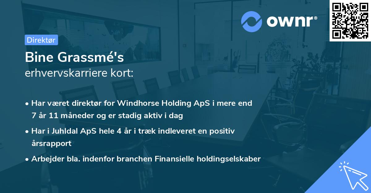 Bine Grassmé's erhvervskarriere kort