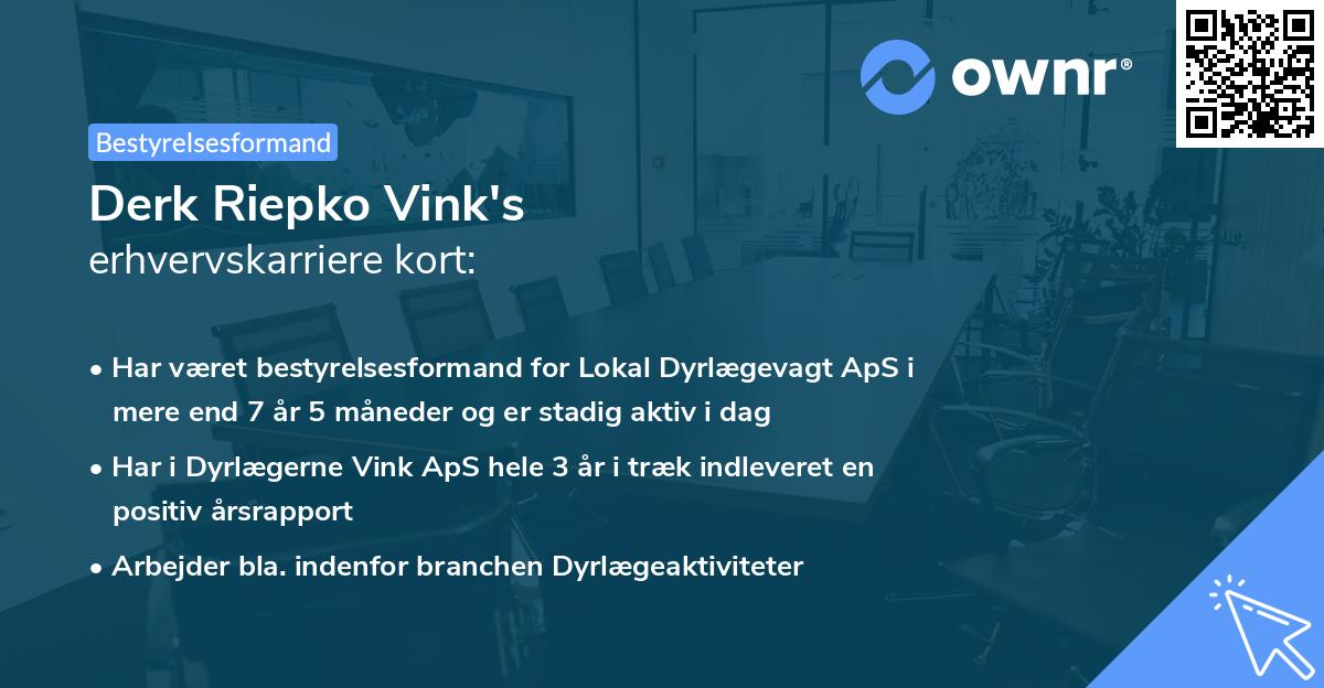 Derk Riepko Vink's erhvervskarriere kort