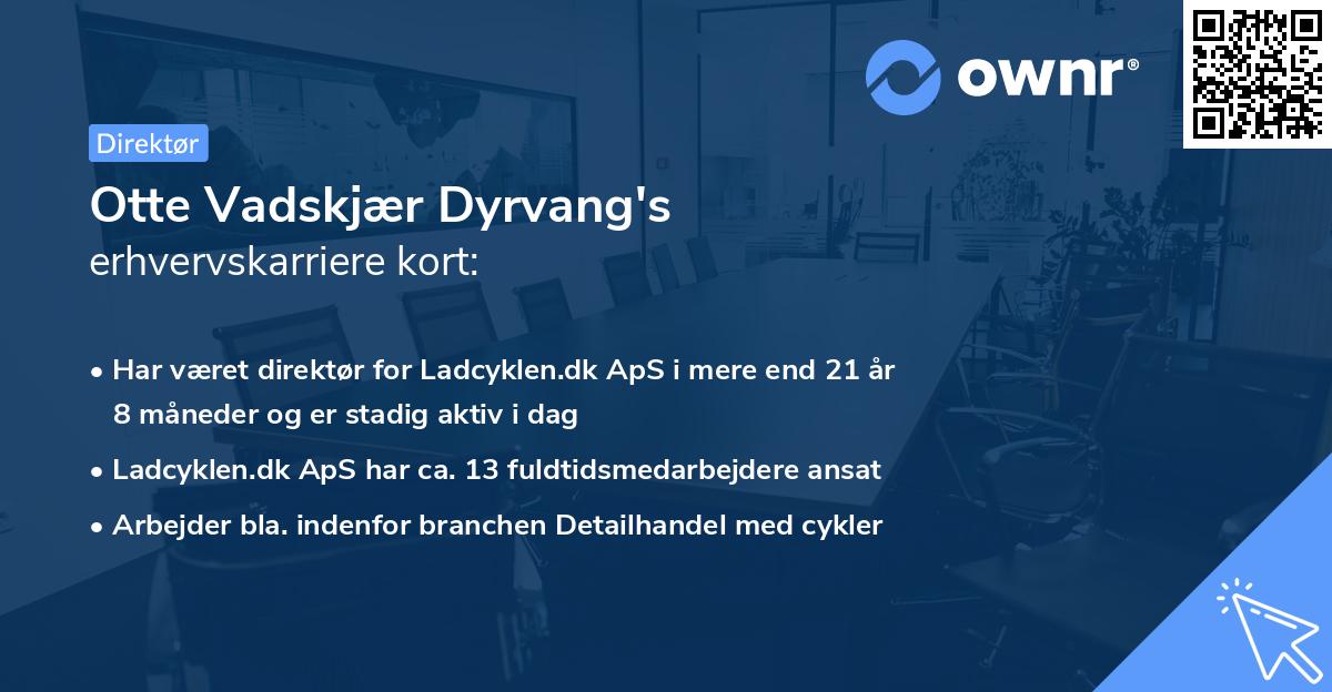 Otte Vadskjær Dyrvang's erhvervskarriere kort