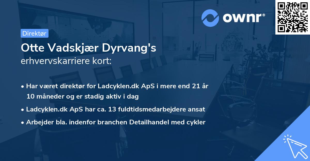 Otte Vadskjær Dyrvang's erhvervskarriere kort