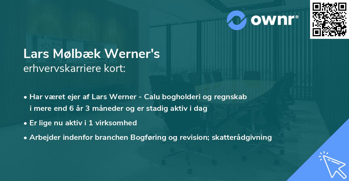 Lars Mølbæk Werner's erhvervskarriere kort
