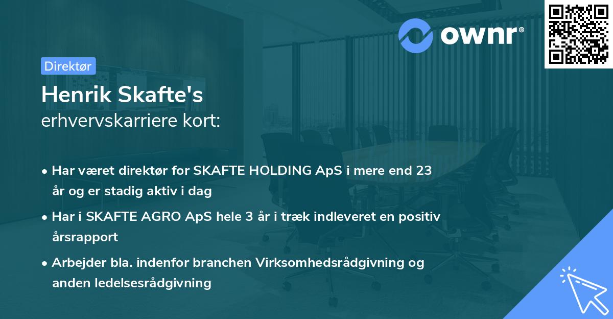 Henrik Skafte's erhvervskarriere kort