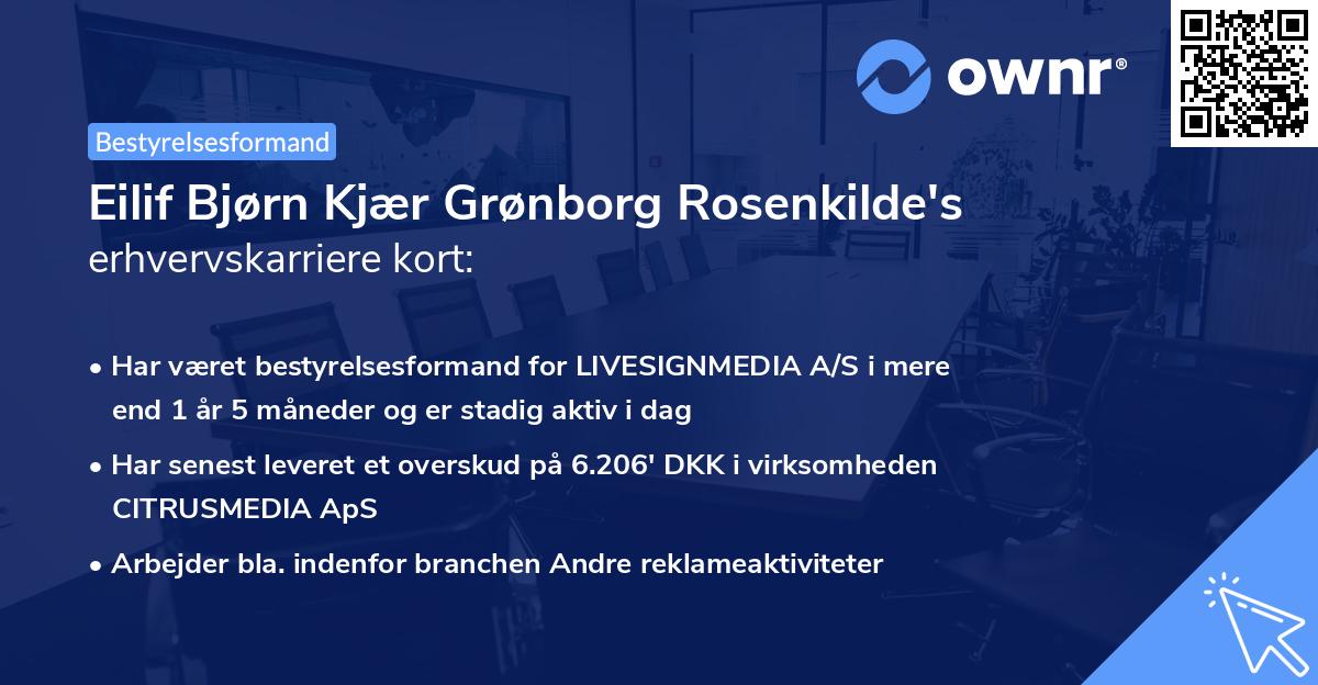 Eilif Bjørn Kjær Grønborg Rosenkilde's erhvervskarriere kort