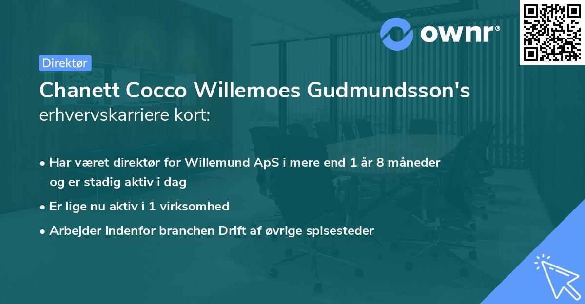 Chanett Cocco Willemoes Gudmundsson's erhvervskarriere kort