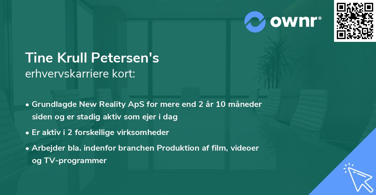 Tine Krull Petersen's erhvervskarriere kort
