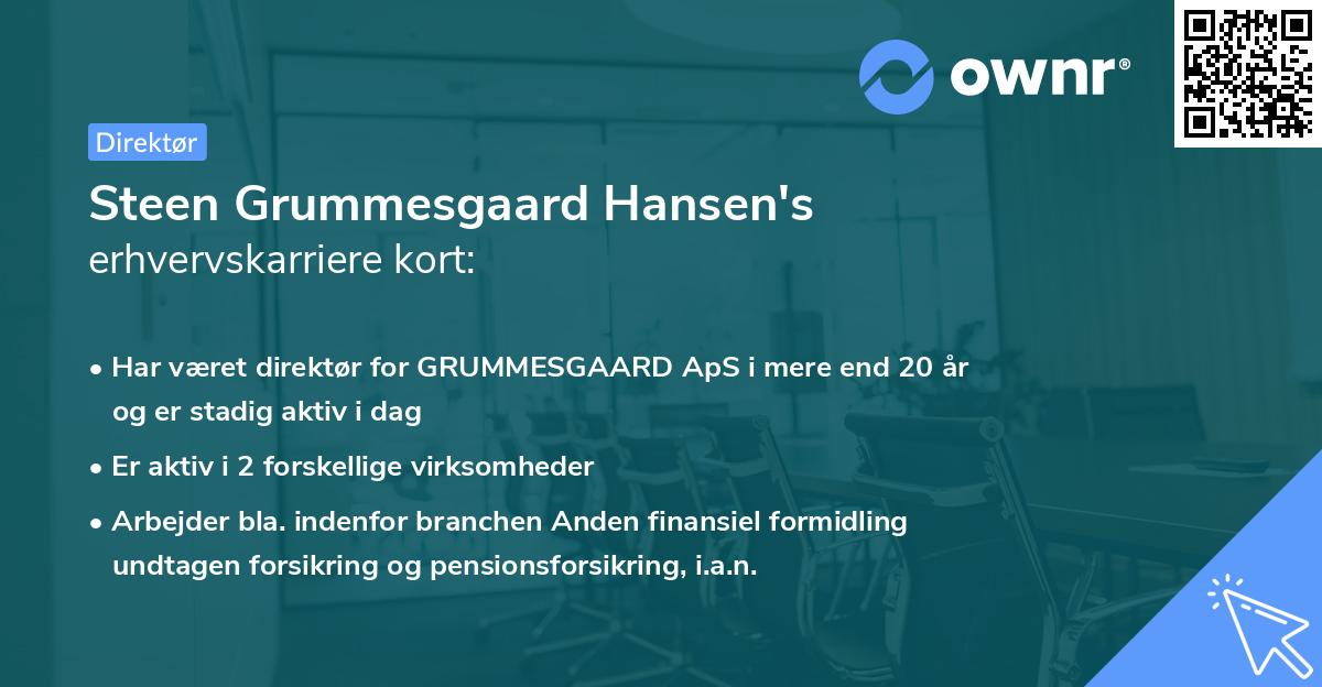 Steen Grummesgaard Hansen's erhvervskarriere kort