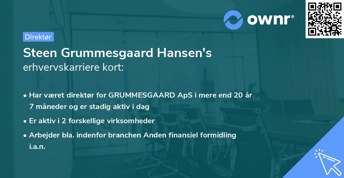 Steen Grummesgaard Hansen's erhvervskarriere kort