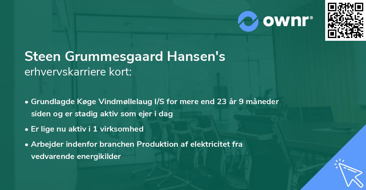 Steen Grummesgaard Hansen's erhvervskarriere kort