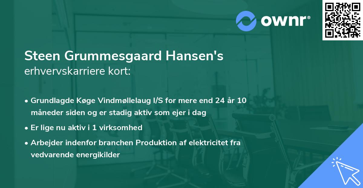 Steen Grummesgaard Hansen's erhvervskarriere kort