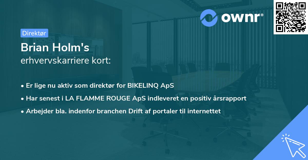 Brian Holm's erhvervskarriere kort