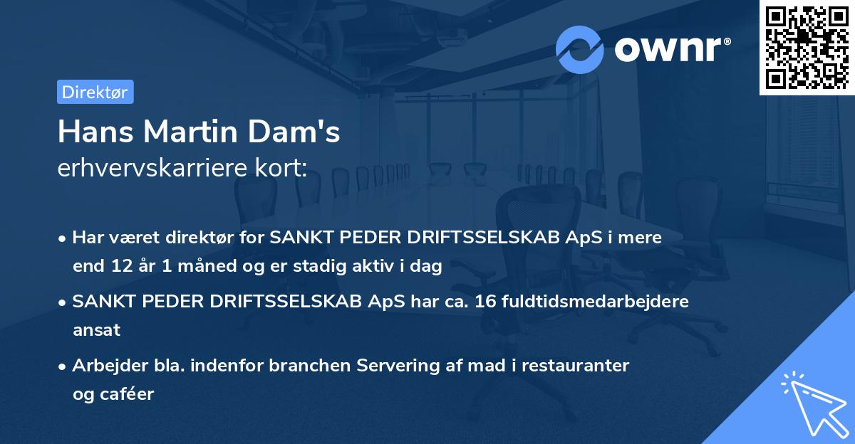 Hans Martin Dam's erhvervskarriere kort